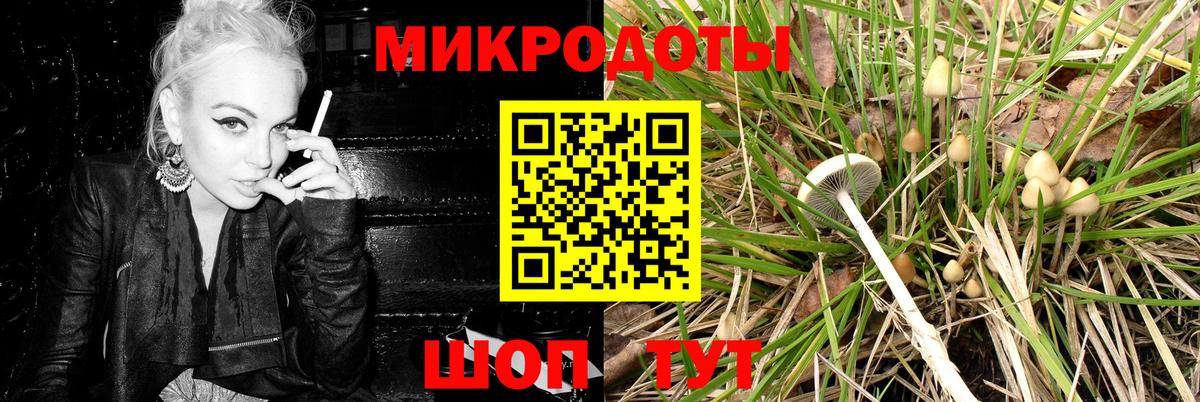 Острогожск  Галлюциногенные грибы ЛСД  что такое   Вход с VPN 